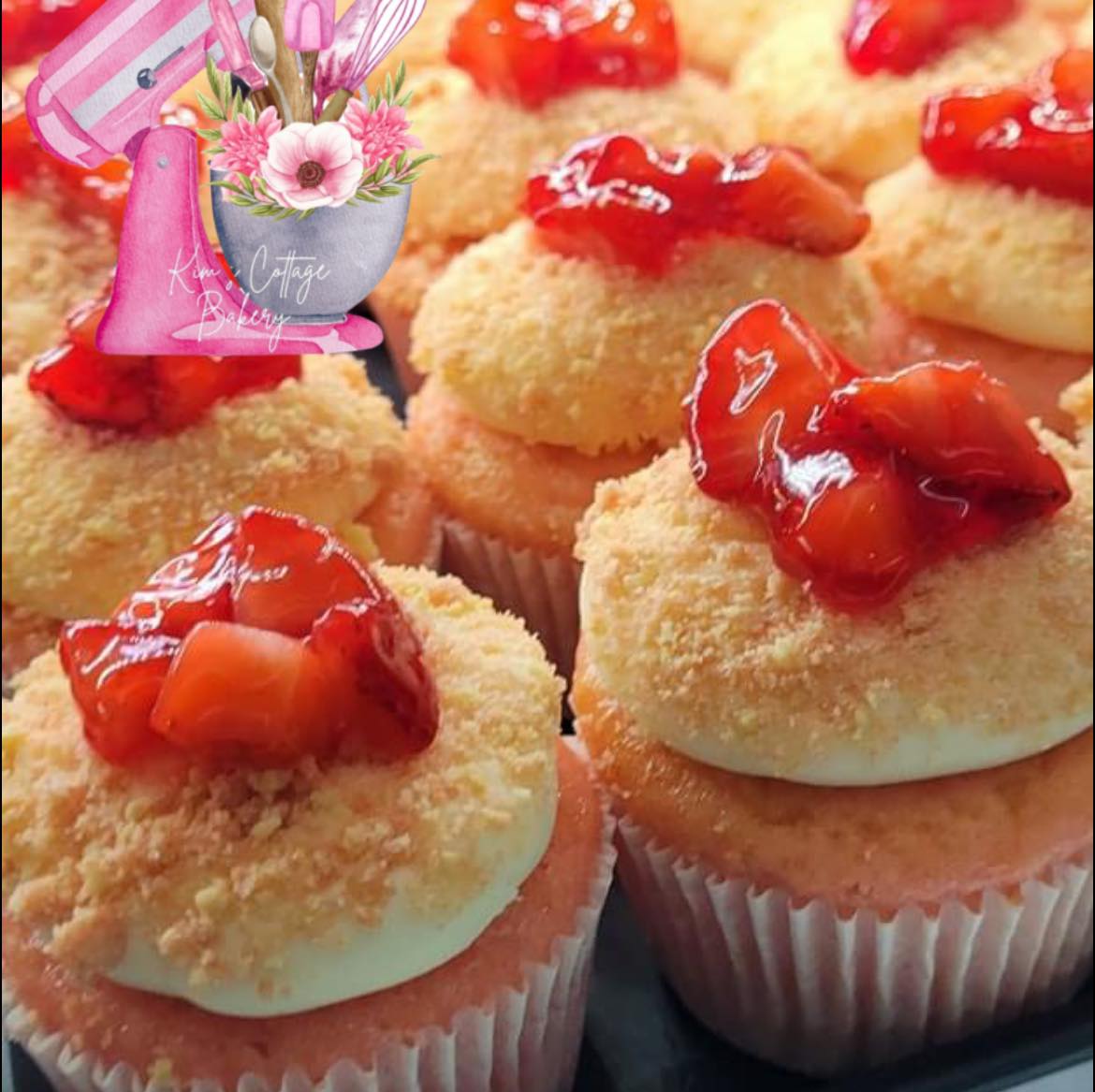 Gourmet Cupcakes