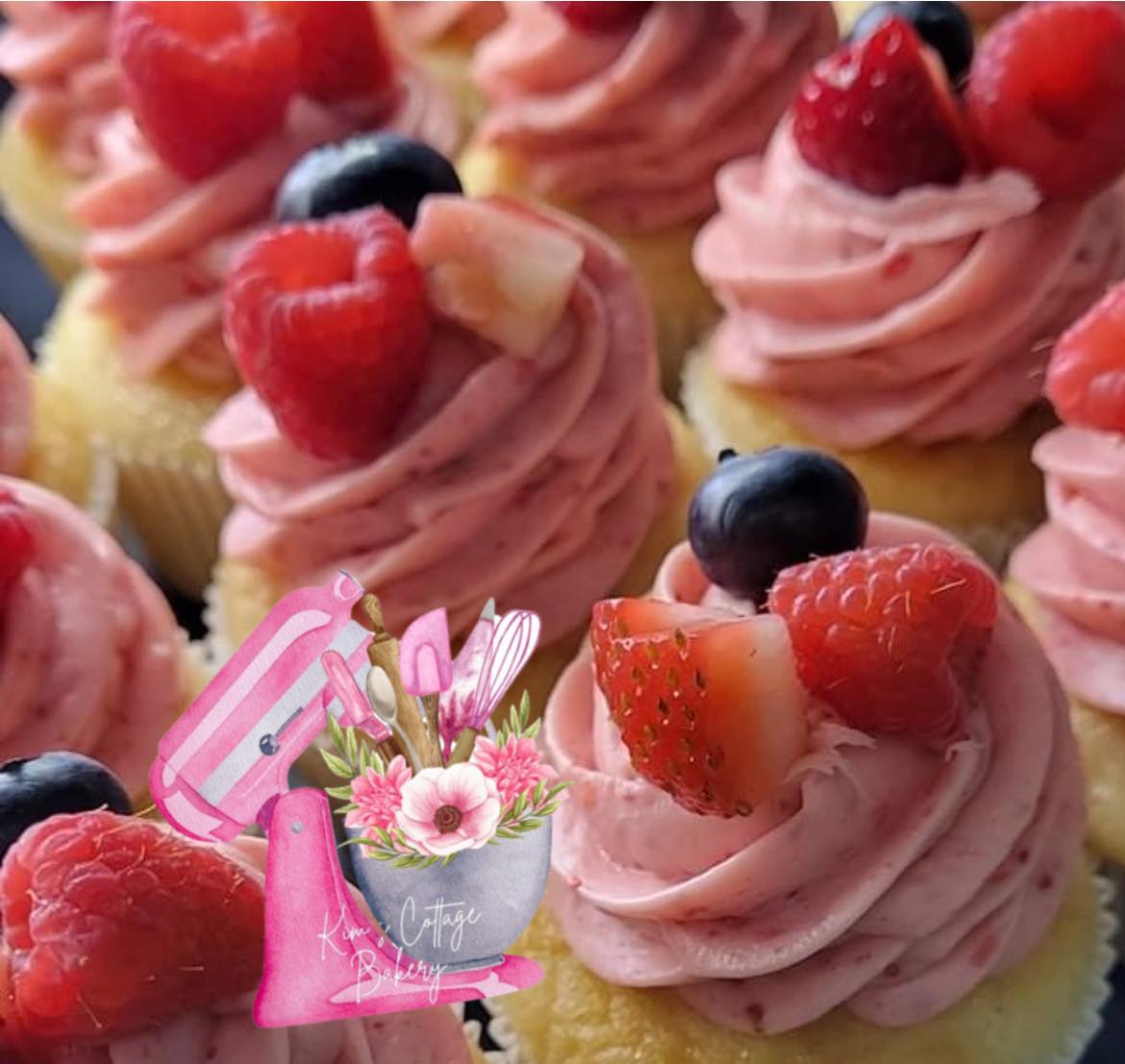 Gourmet Cupcakes